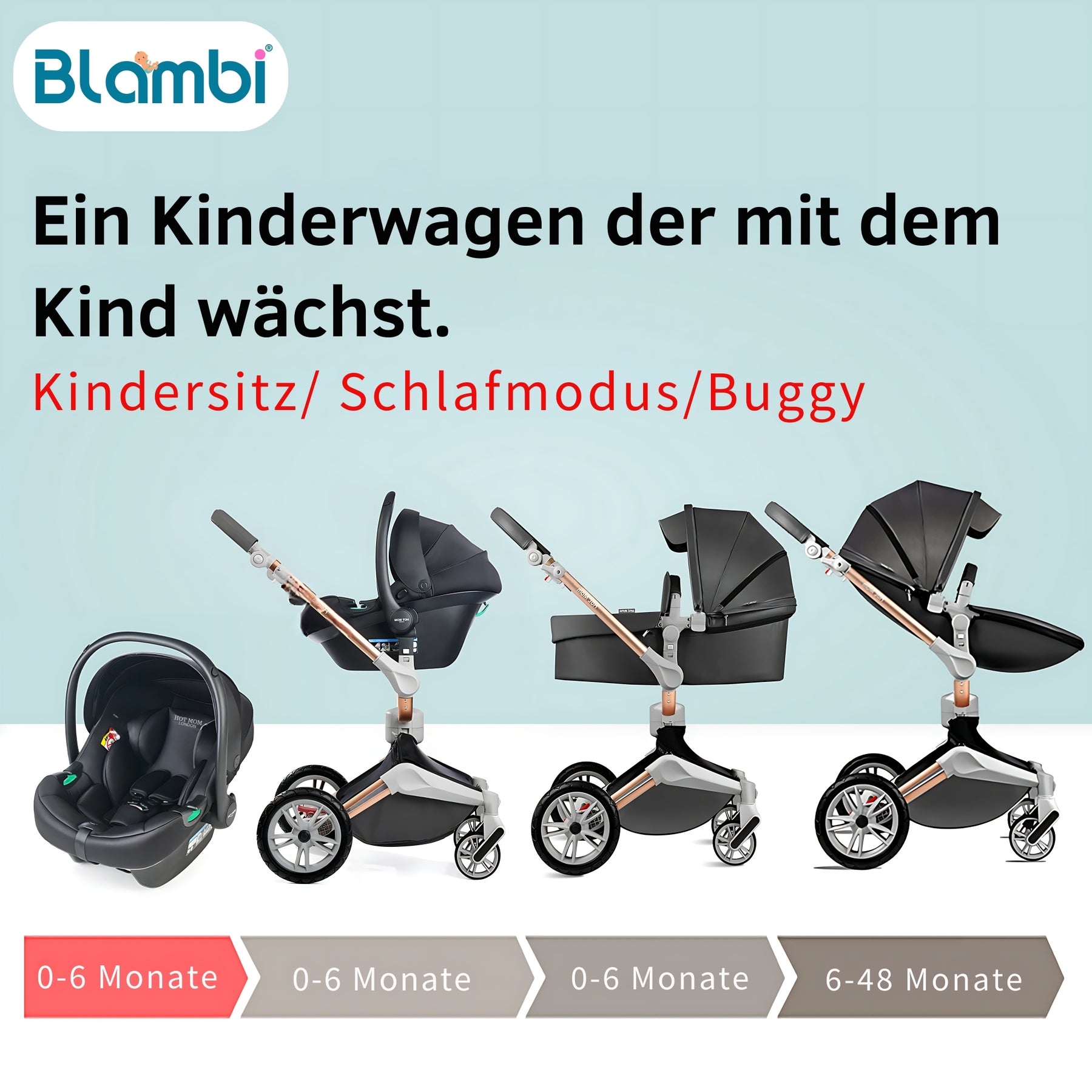 Blambi® Premium Kombi-Kinderwagen "Signature Series" 360 Grad Drehbar