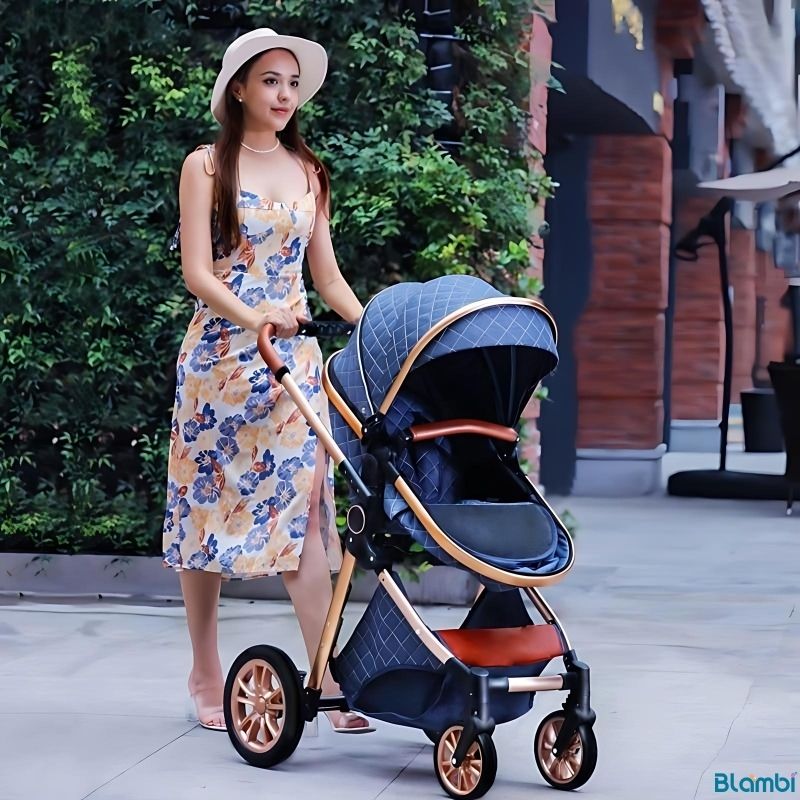 Blambi® Luxus Kombi-Kinderwagen Premium 3in1 "Sirius Pro 2"