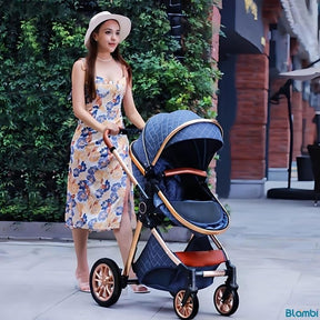 Blambi® Luxus Kombi-Kinderwagen Premium 3in1 "Sirius Pro 2"